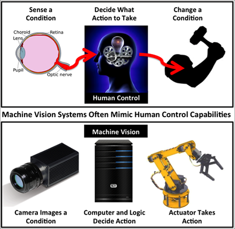 Machine Vision Functioning