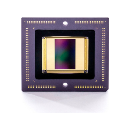 Forza Low Light Linearity